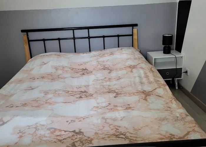 度假居 Grande Maison Jusqu'a 9 Pers *